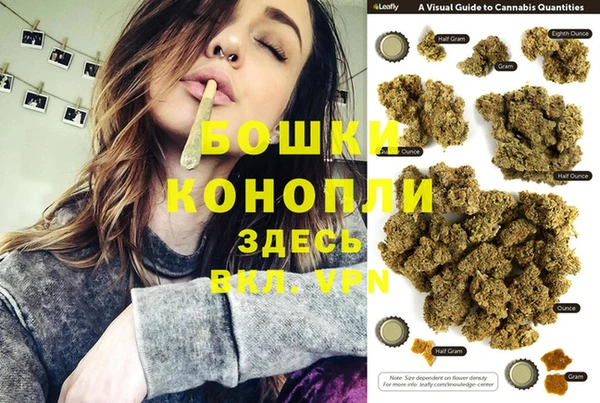 PSILOCYBIN Бугульма
