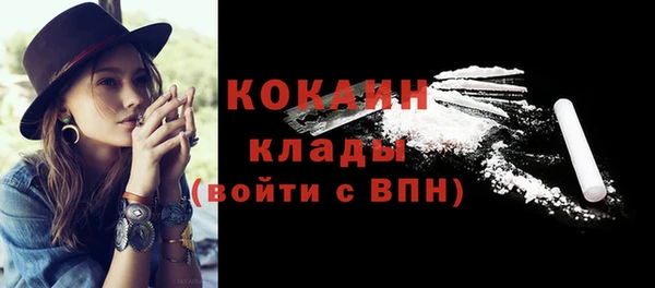 мескалин Бородино