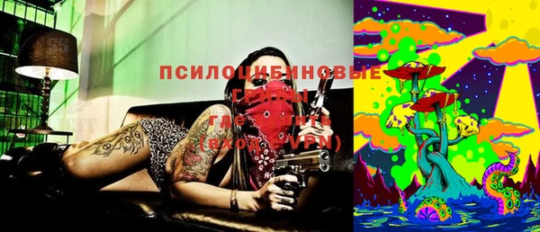 PSILOCYBIN Бугульма