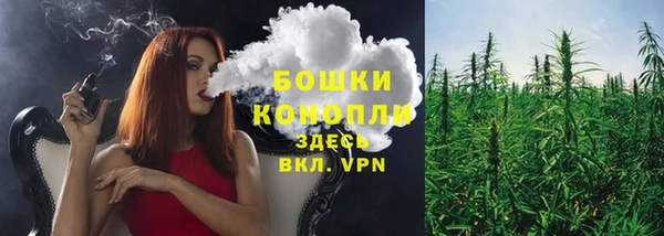 PSILOCYBIN Бугульма