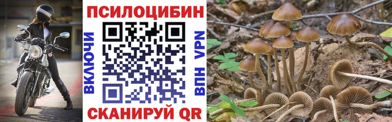 купить наркотики сайты  Северск  Псилоцибиновые грибы мухоморы 