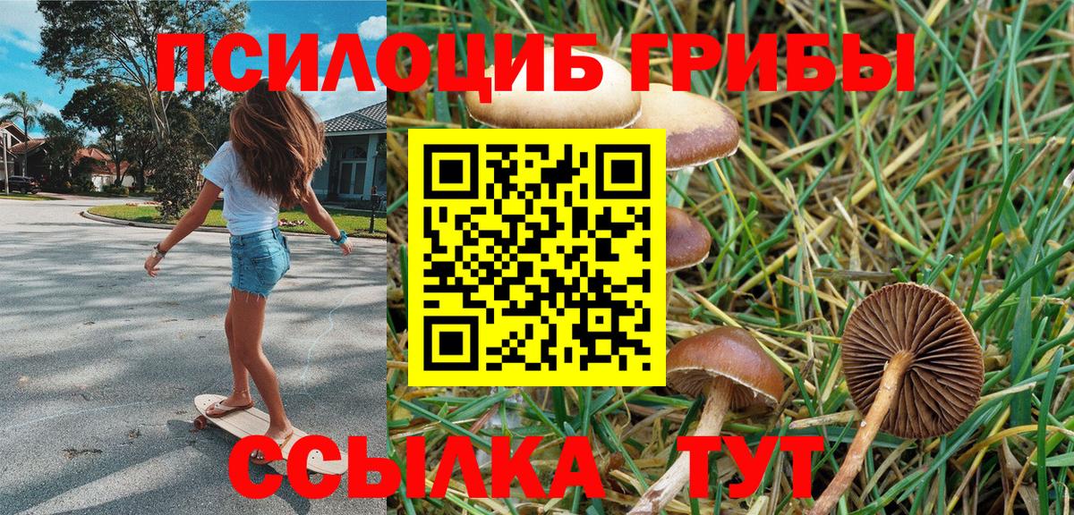 Северск  купить наркотик  Вход с VPN  Псилоцибиновые грибы ЛСД  Галлюциногенные грибы мухоморы 