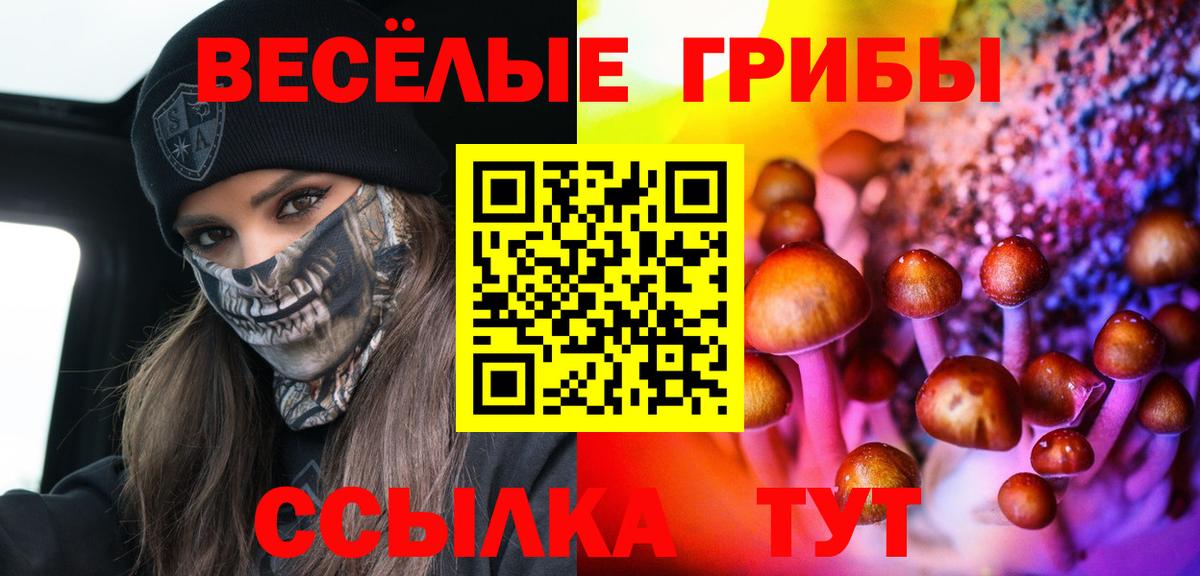 Галлюциногенные грибы Psilocybe Северск